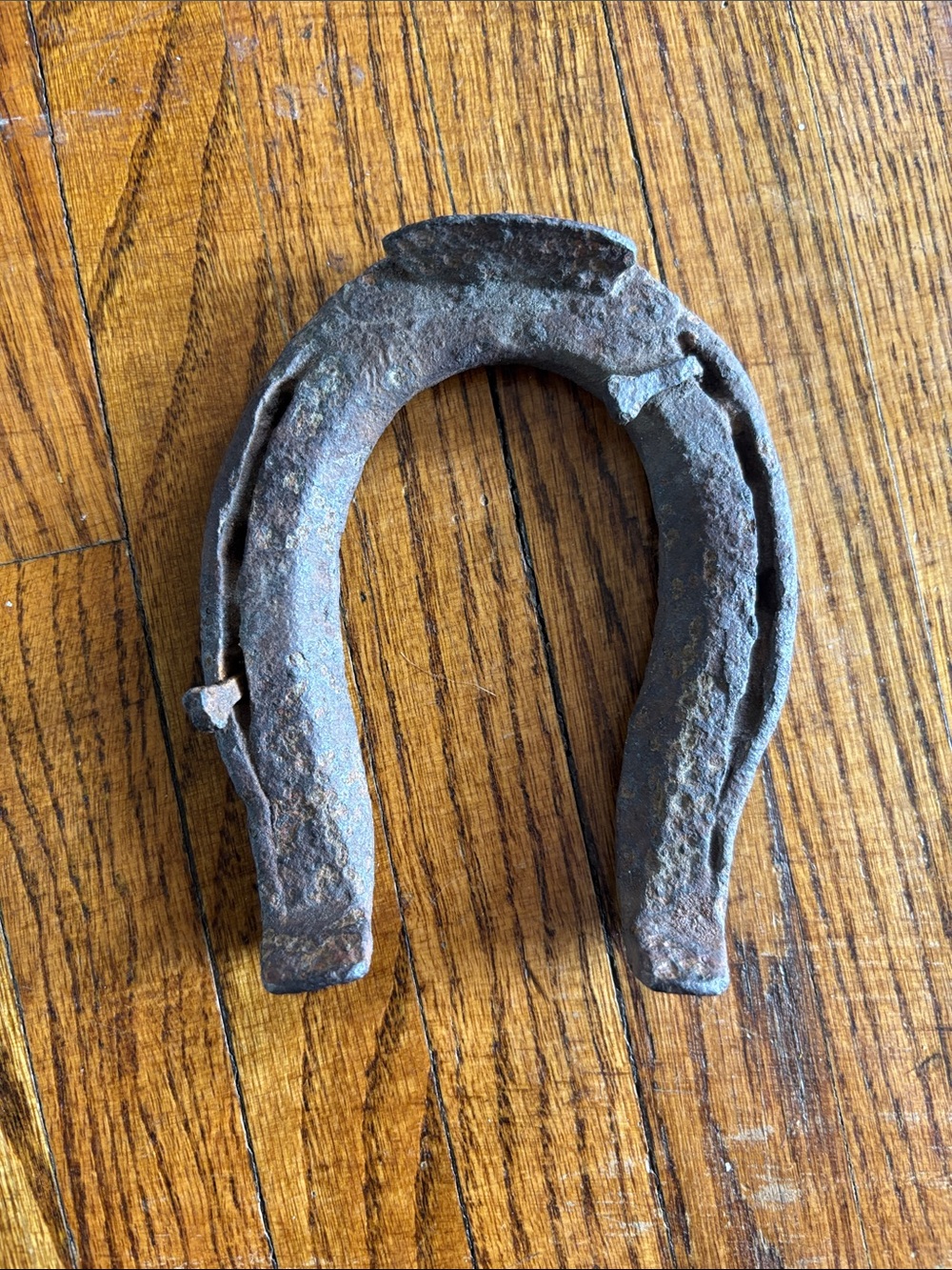 Vintage iron horseshoe—Original nails still attached.
